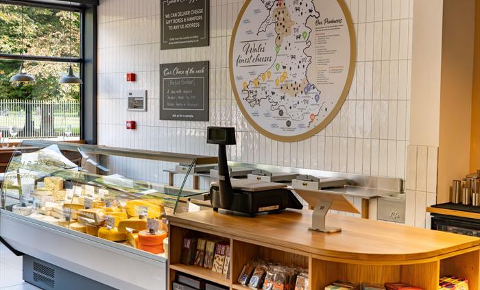 Deli cheese fridge and counter display